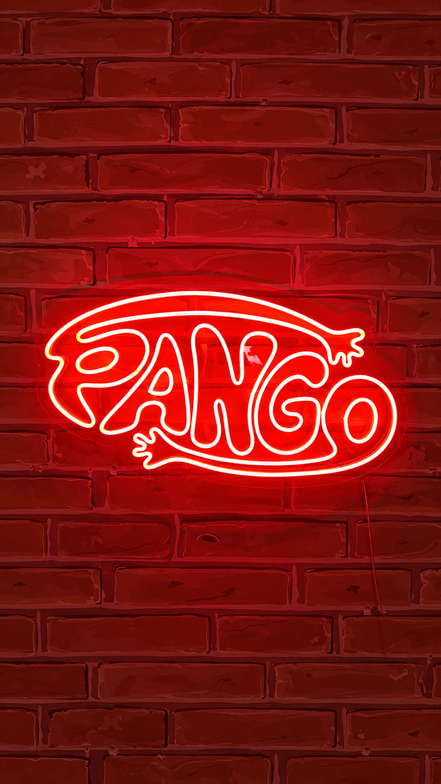 Neon LED Logo 50×70